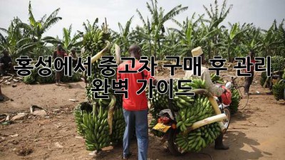 홍성에서 중고차 구매 후 관리, 완벽 가이드!