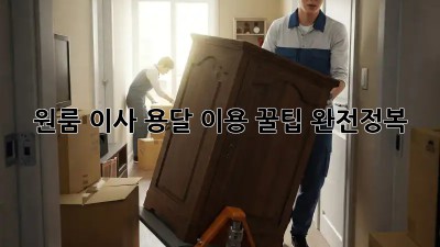 원룸 이사, 용달 이용 꿀팁 완전정복!